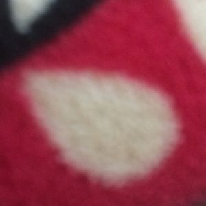 Meet your Posher, Lucy